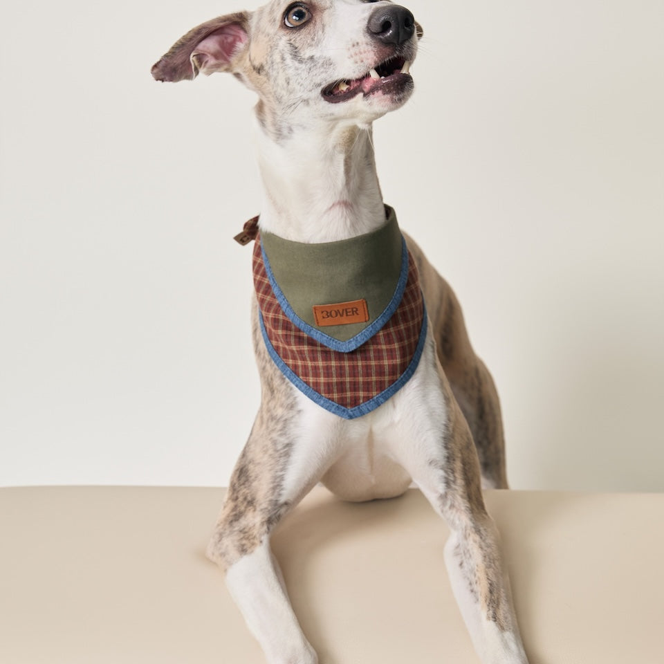 BOVER Adjustable Pet Bandana