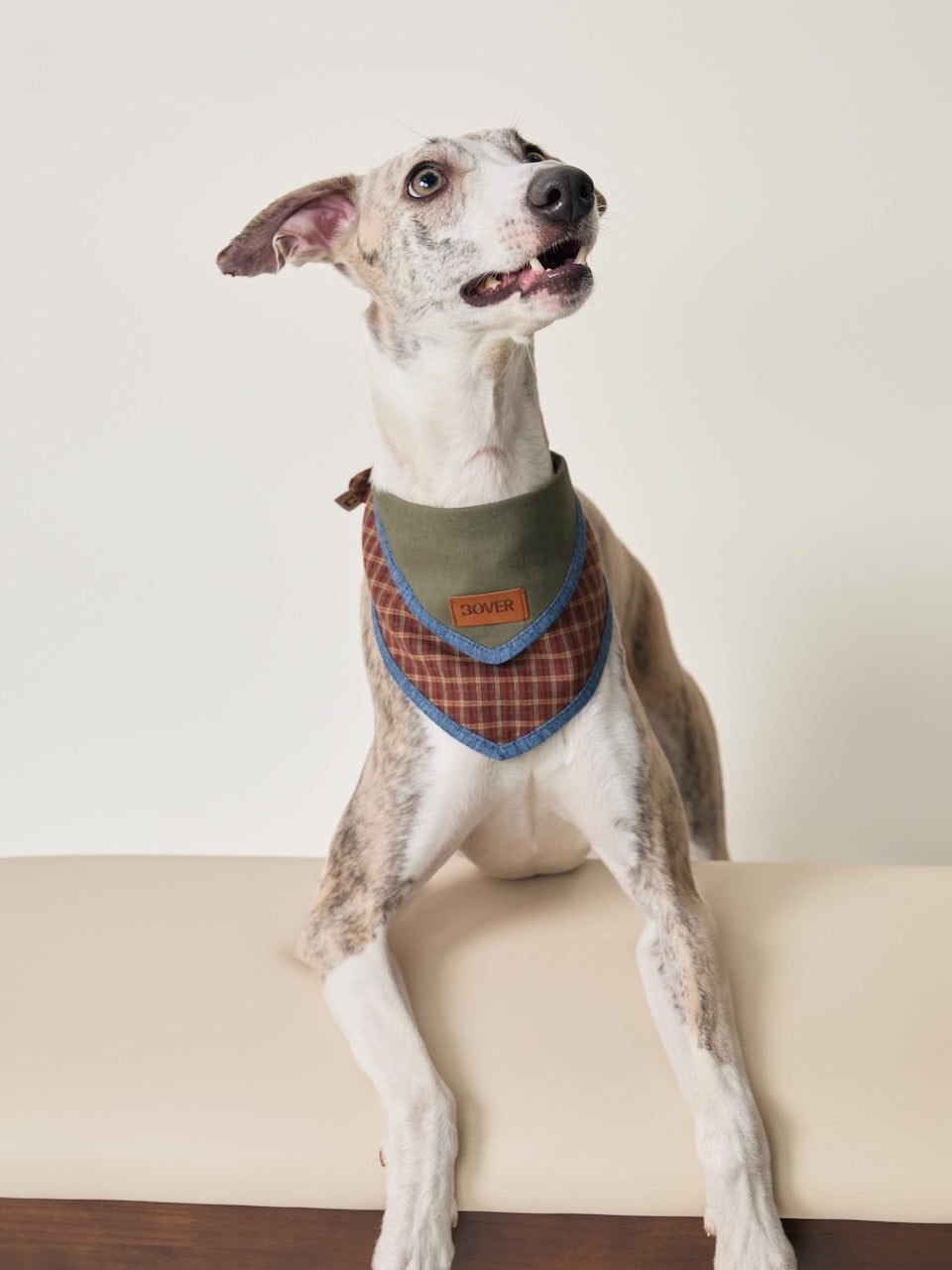BOVER Adjustable Pet Bandana