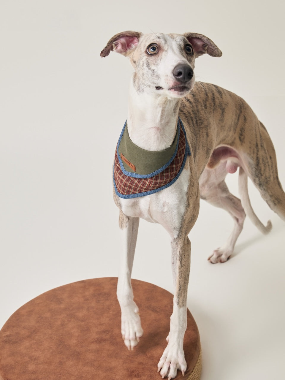 BOVER Adjustable Pet Bandana