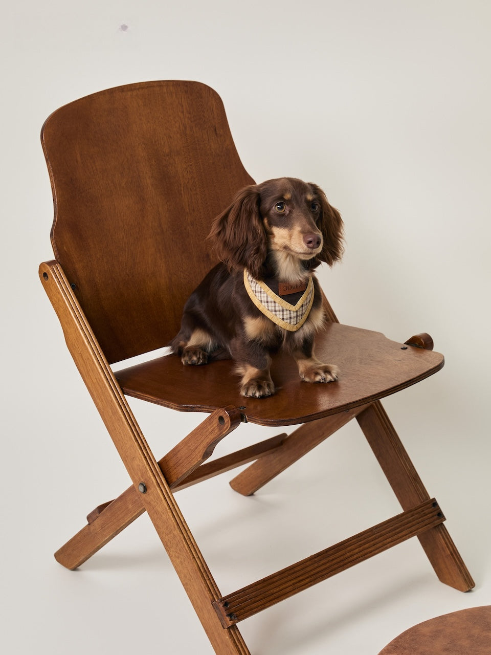 BOVER Adjustable Pet Bandana