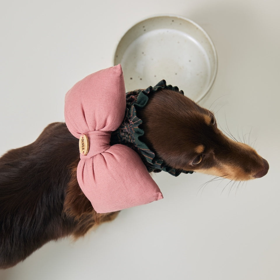 BOVER Haustier-Ohrenschutz