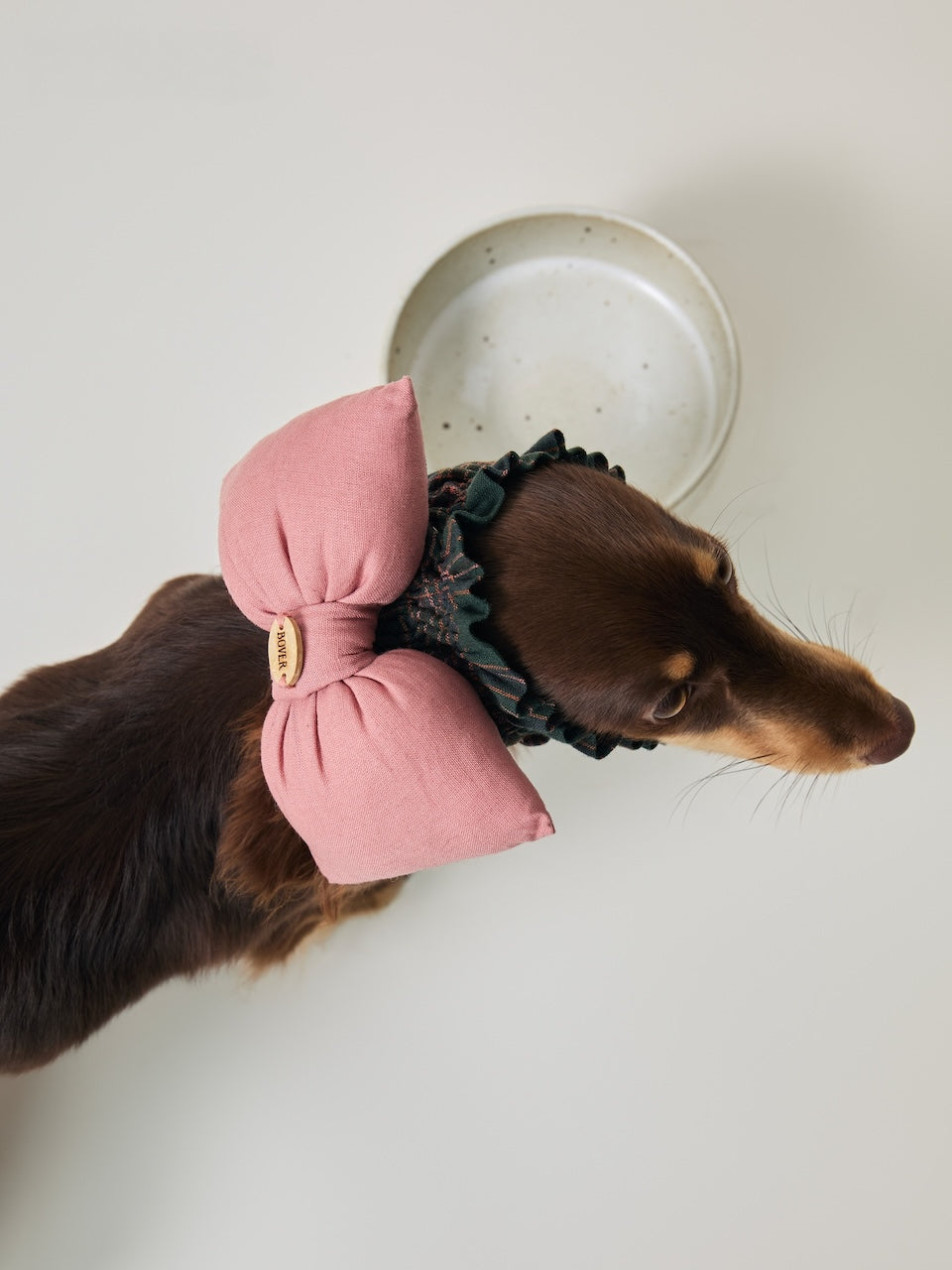BOVER Pet Ear Cover