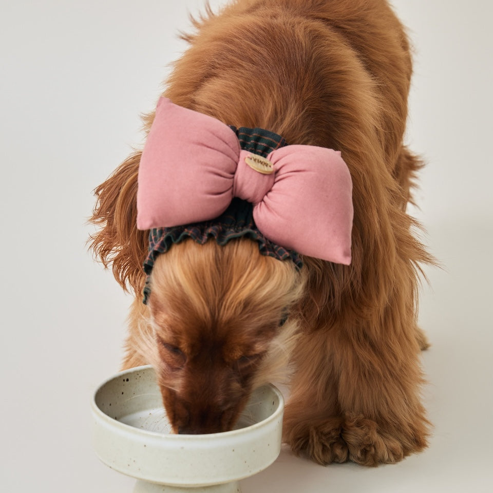 BOVER Haustier-Ohrenschutz