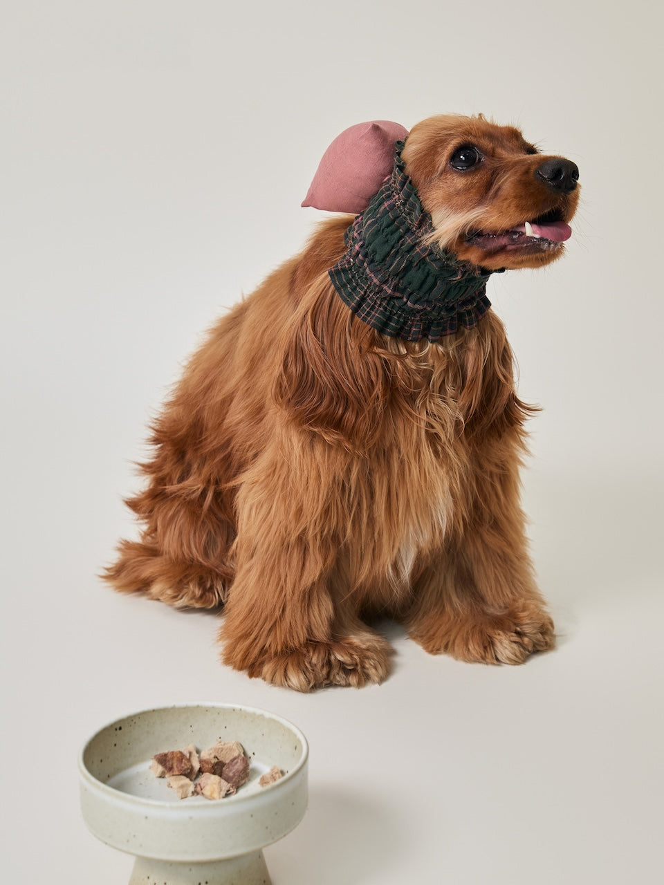 BOVER Pet Ear Cover