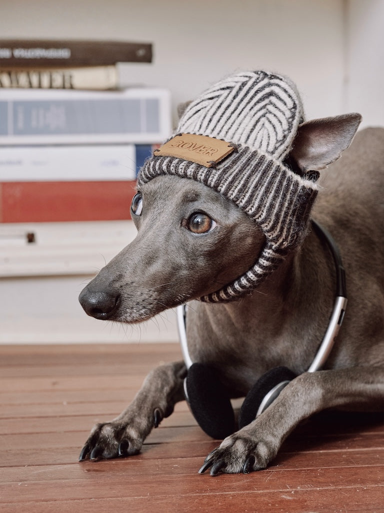 BOVER "Hip Hop Dog" Knit Beanie