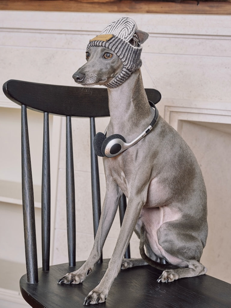 BOVER "Hip Hop Dog" Knit Beanie