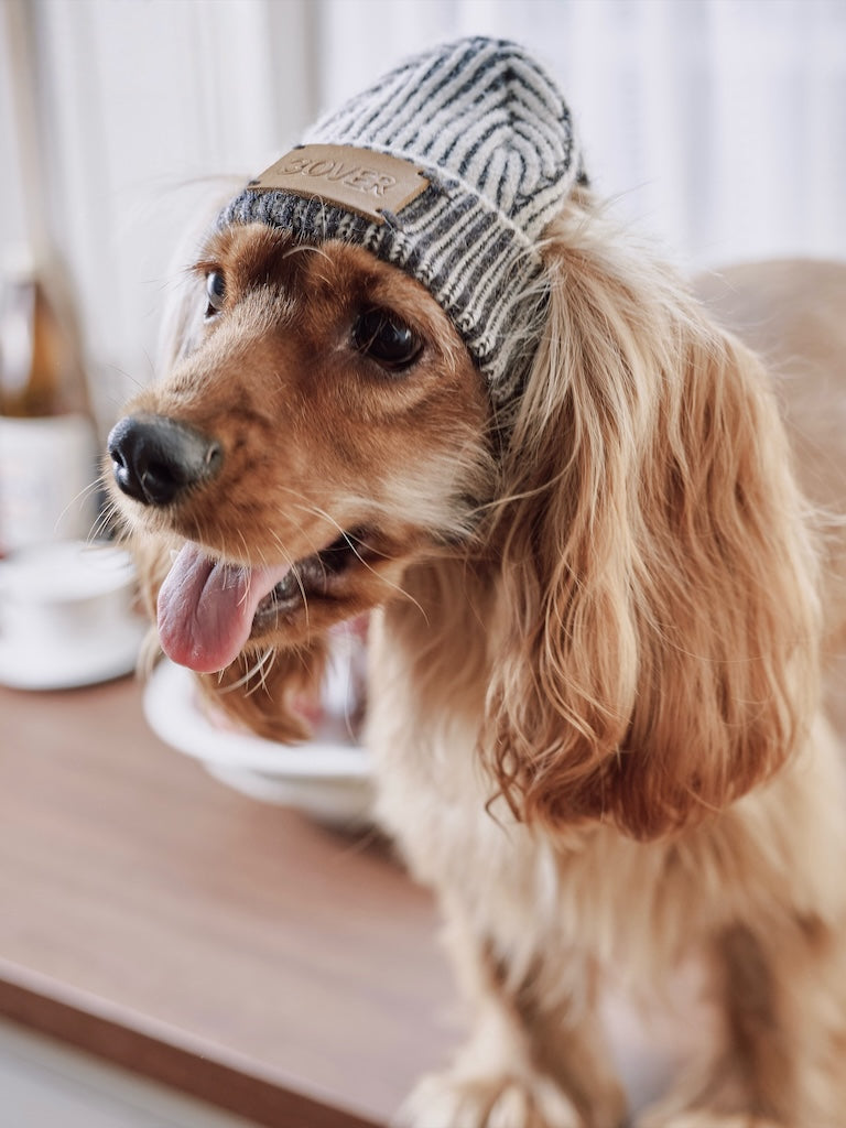BOVER "Hip Hop Dog" Knit Beanie
