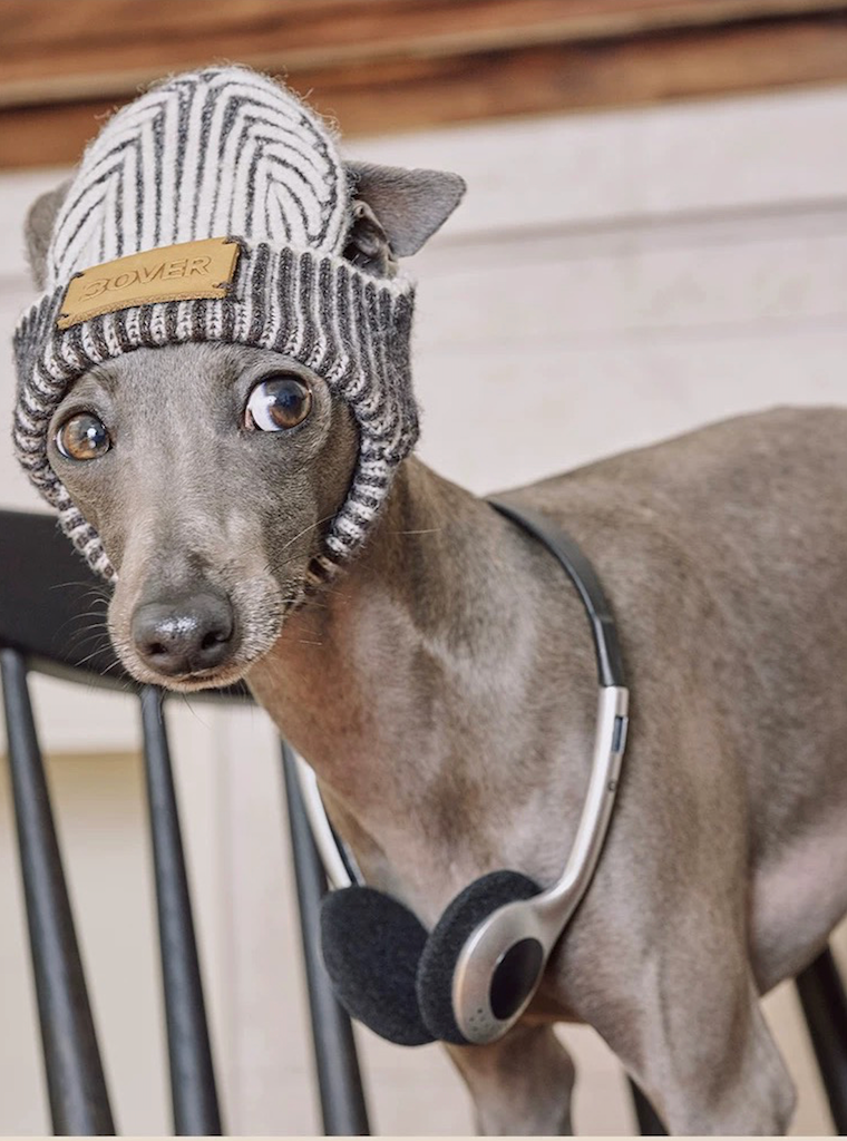 BOVER "Hip Hop Dog" Knit Beanie