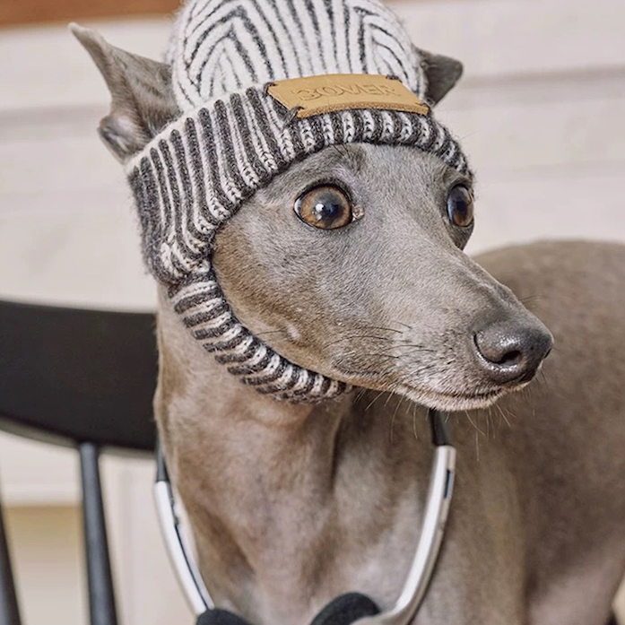 BOVER "Hip Hop Dog" Knit Beanie