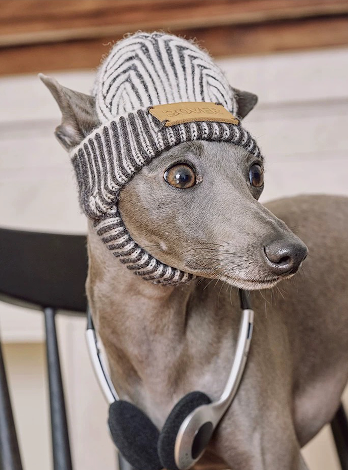 BOVER "Hip Hop Dog" Knit Beanie