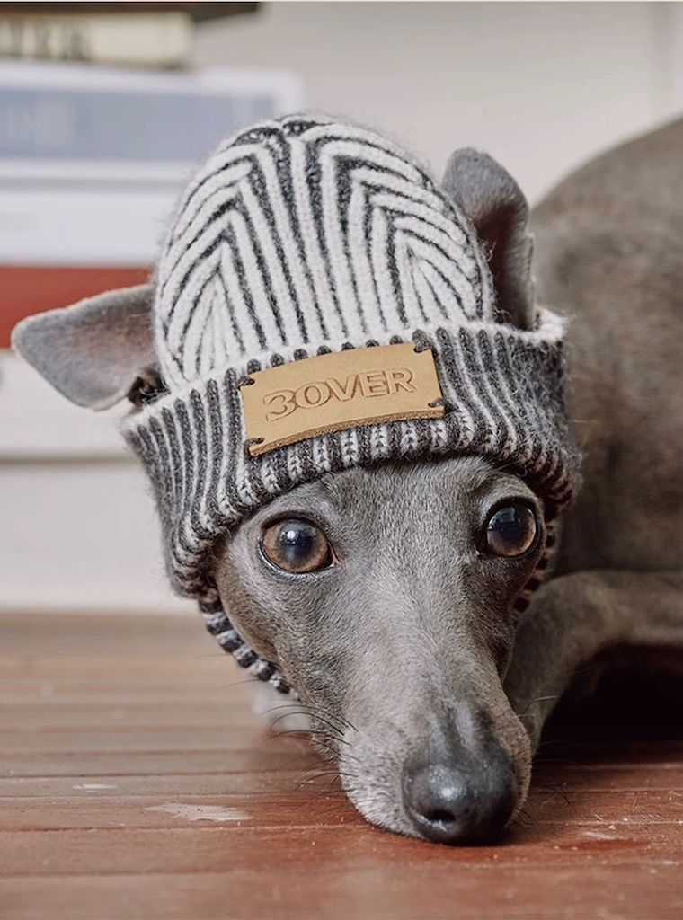 BOVER "Hip Hop Dog" Knit Beanie