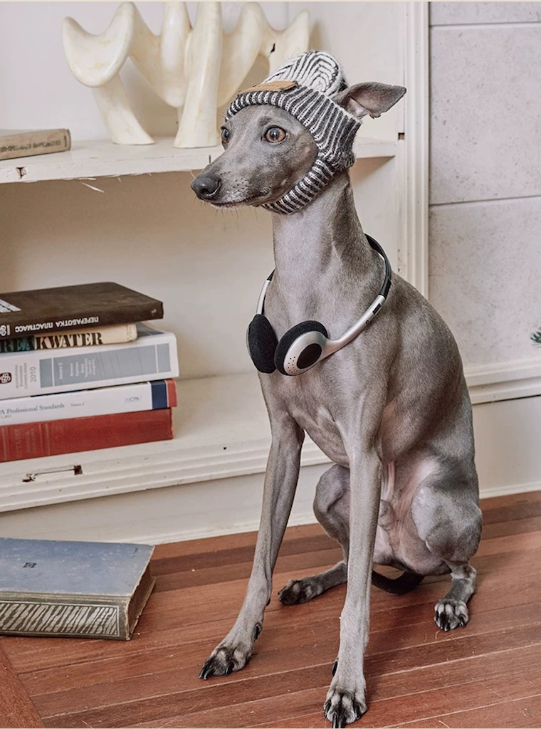 BOVER "Hip Hop Dog" Knit Beanie