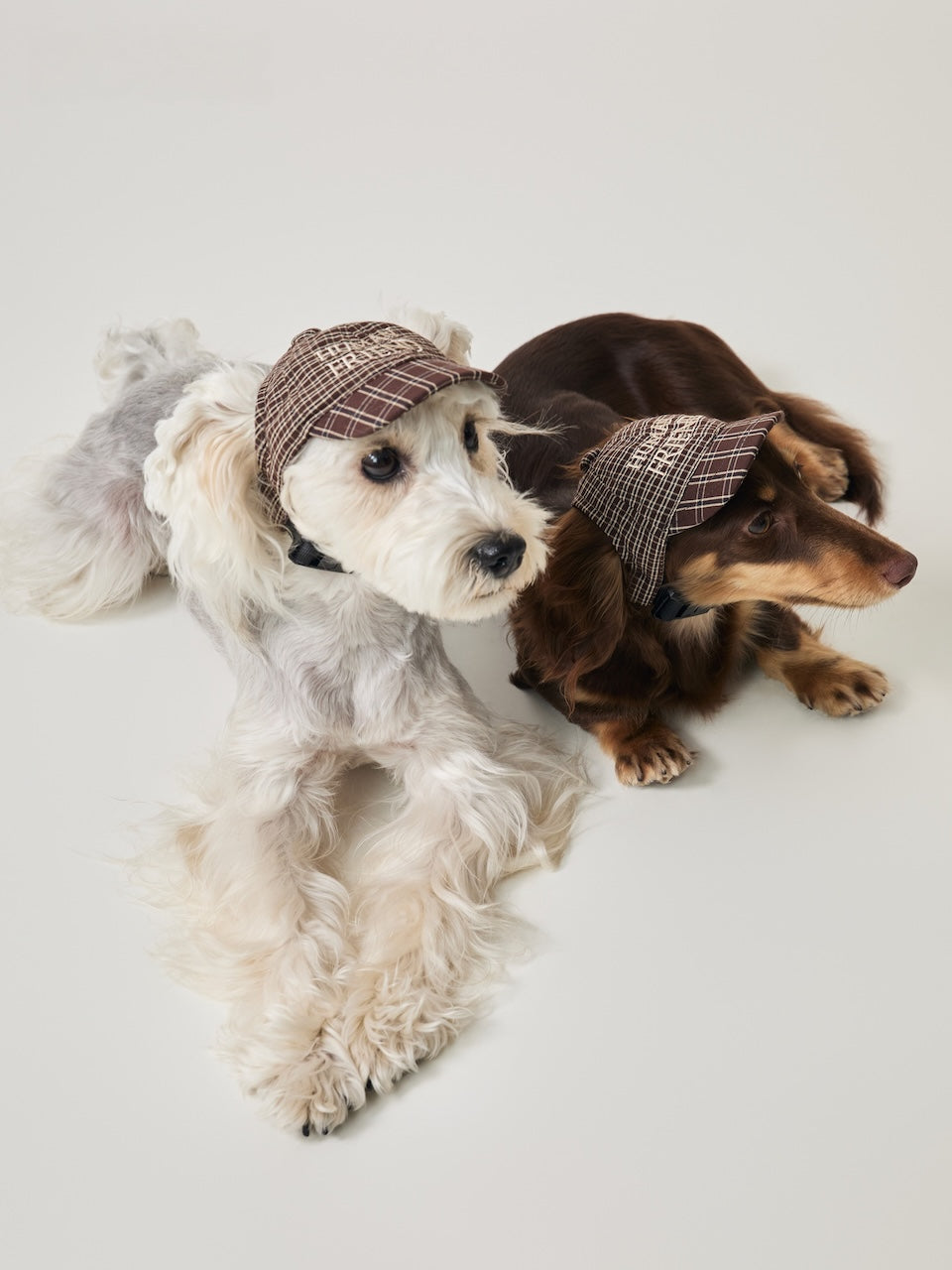 BOVER Pet Baseball Cap