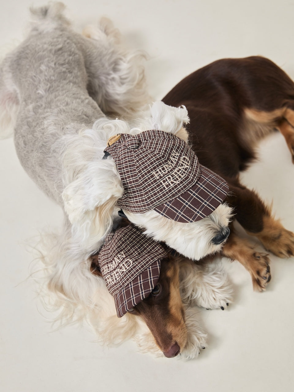 BOVER Pet Baseball Cap