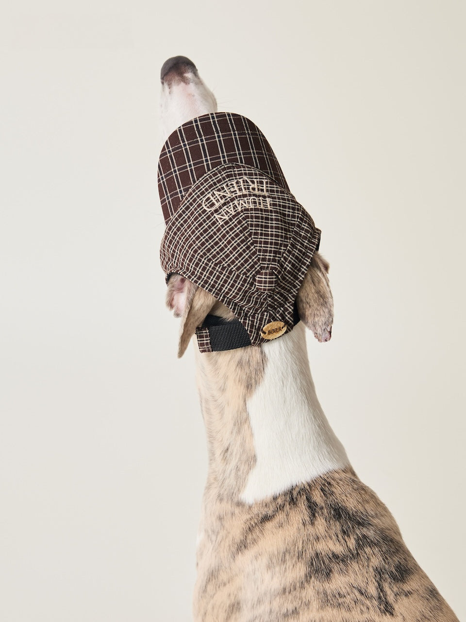 BOVER Pet Baseball Cap