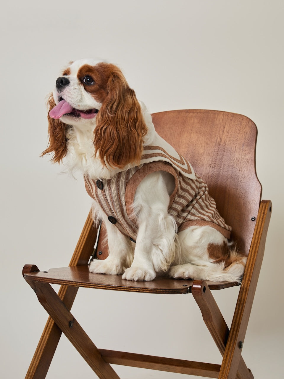 BOVER Navy Style Pet Shirt