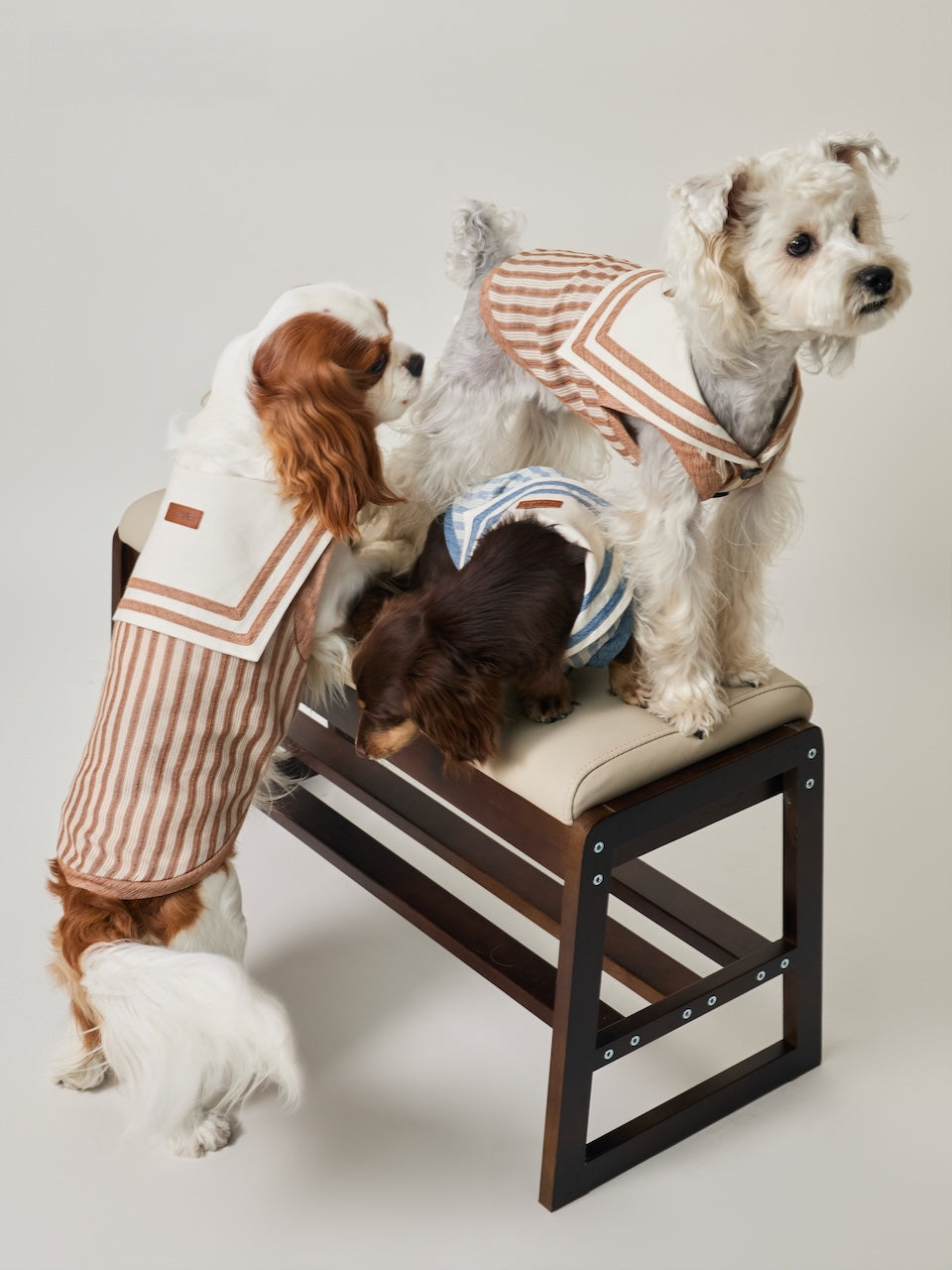 BOVER Navy Style Pet Shirt
