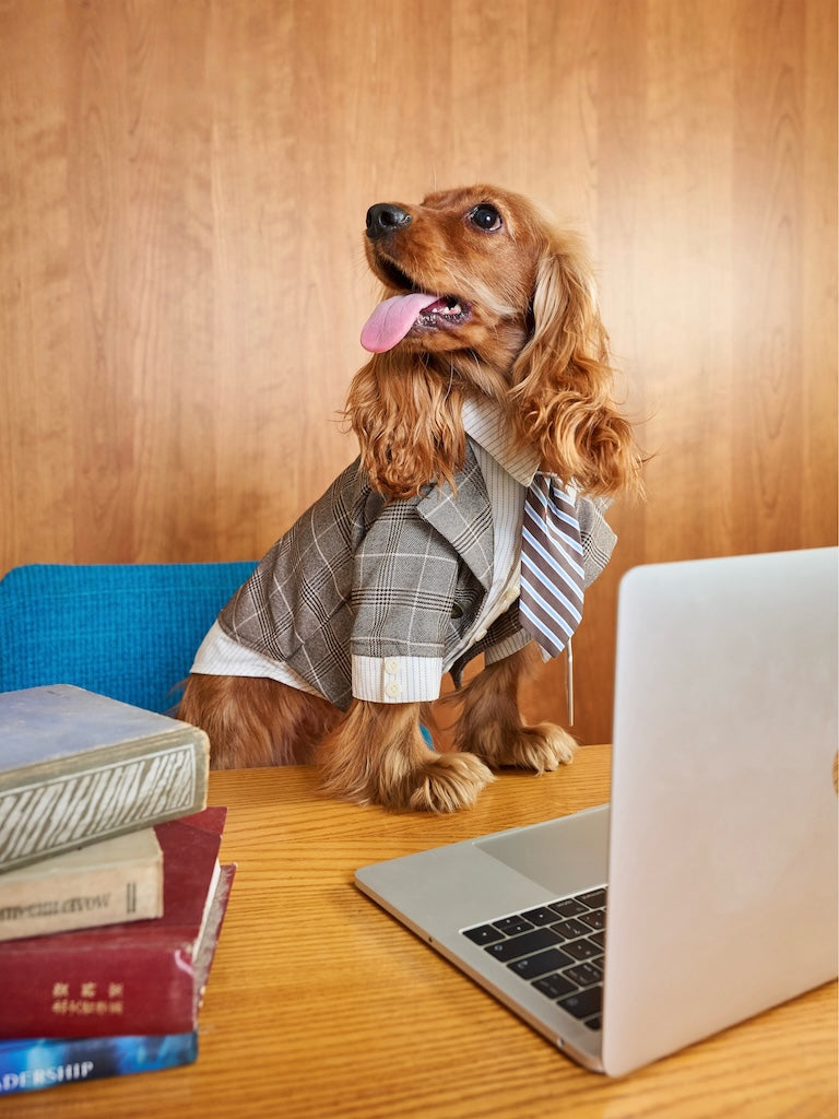 BOVER "Office Dog" Blazer Set