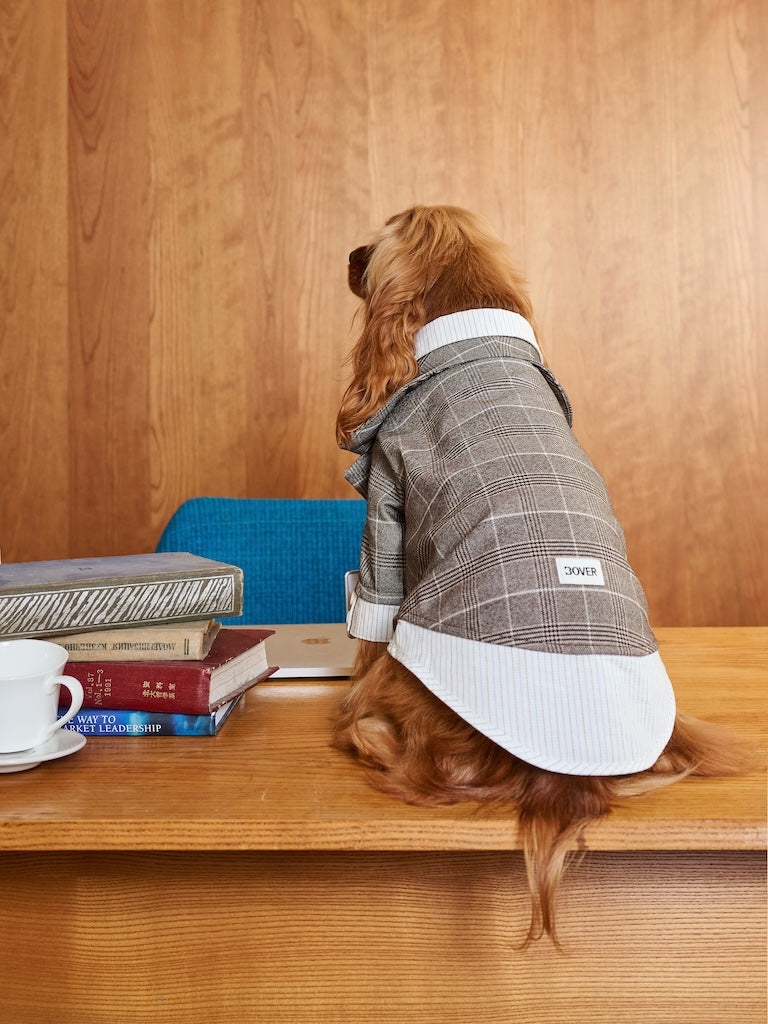 BOVER "Office Dog" Blazer Set
