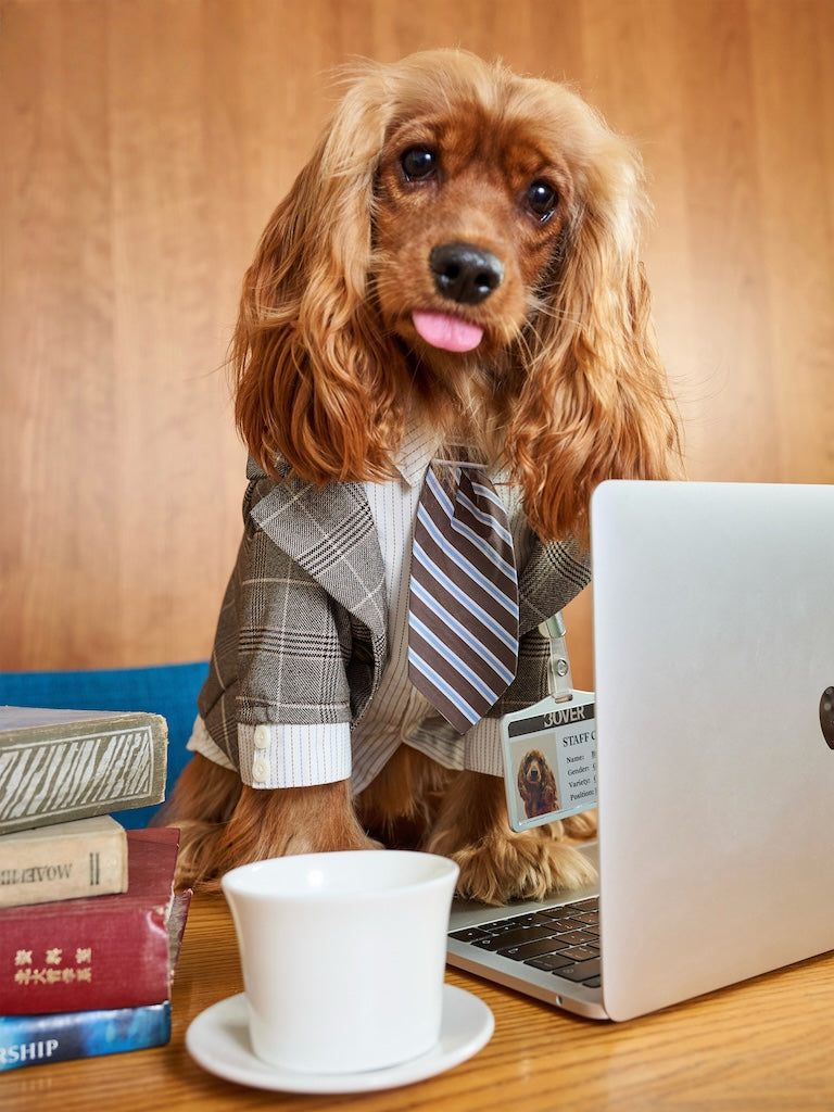 BOVER "Office Dog" Blazer Set