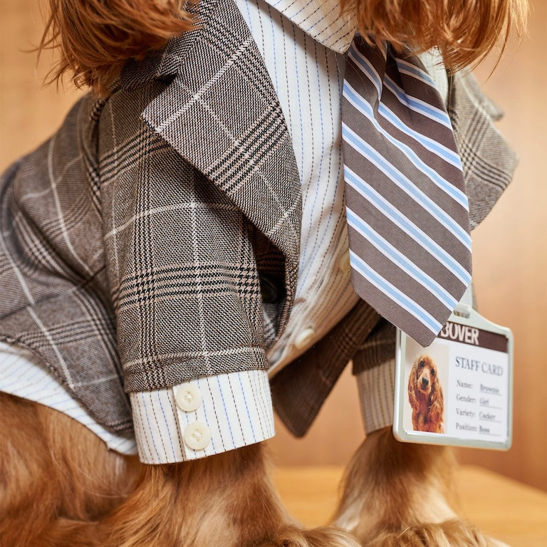 BOVER "Office Dog" Blazer Set