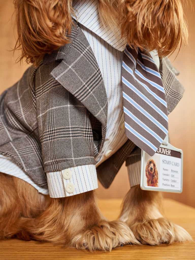 BOVER "Office Dog" Blazer Set