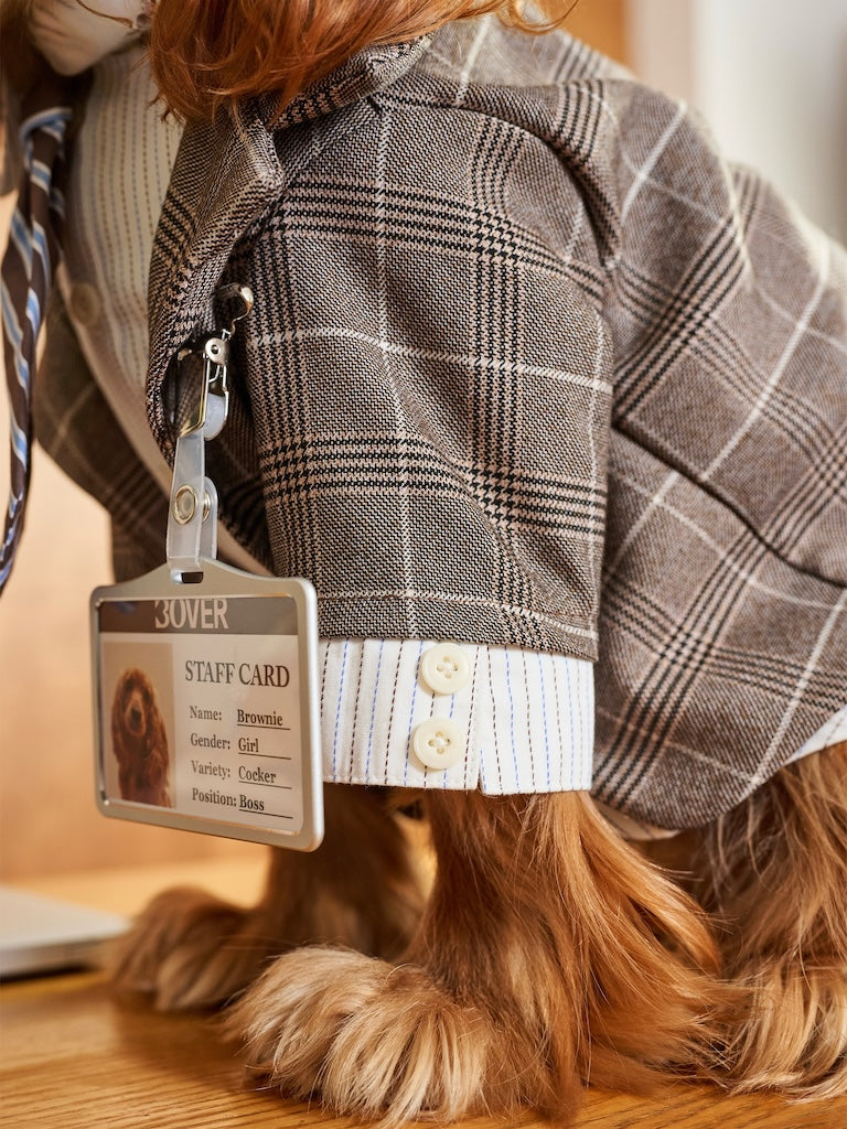 BOVER "Office Dog" Blazer Set