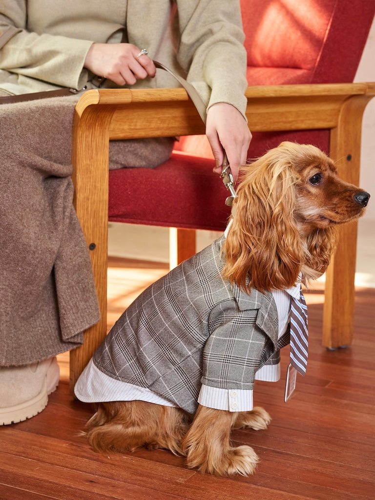 BOVER "Office Dog" Blazer Set