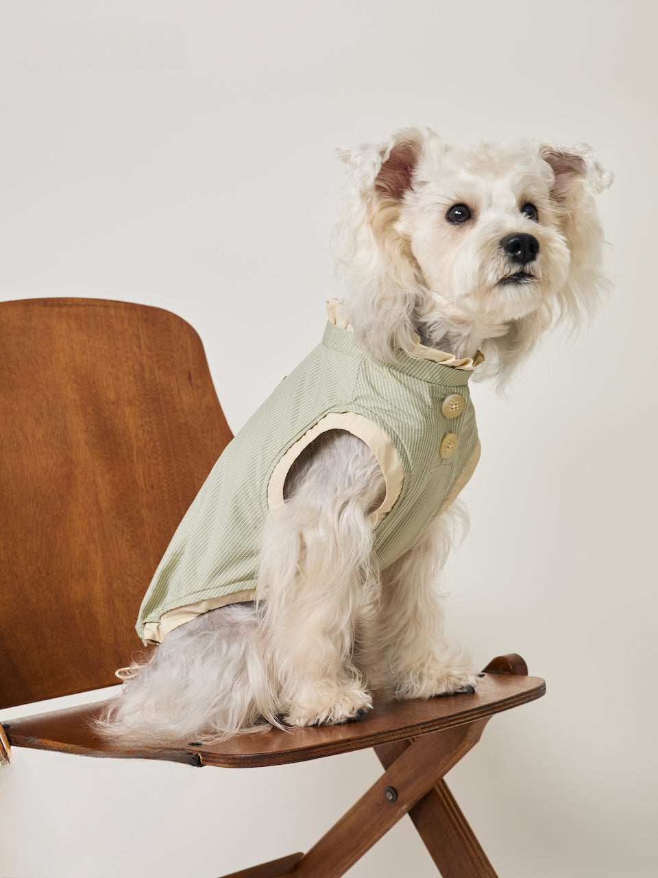 BOVER UV-Protective Pet Shirt