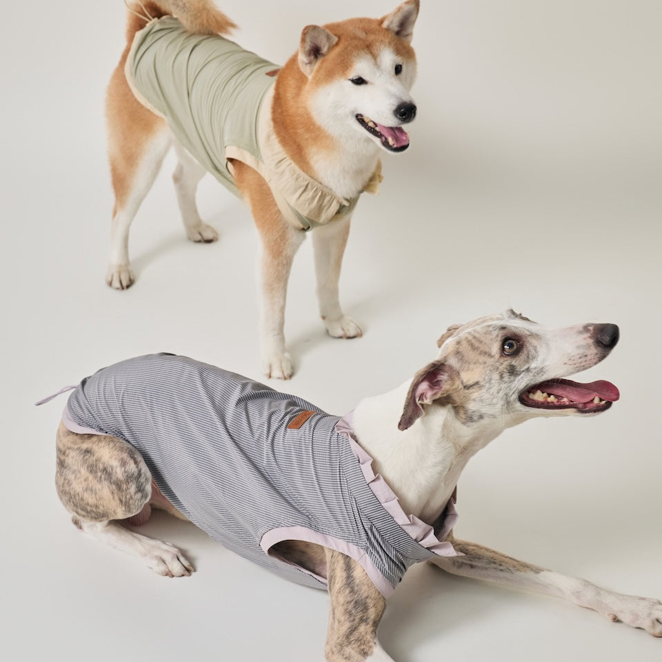 BOVER UV-Protective Pet Shirt