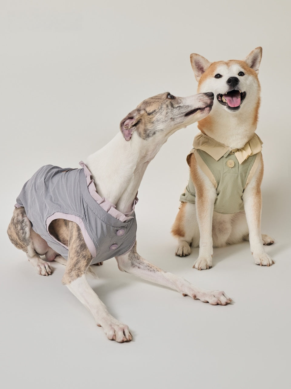BOVER UV-Protective Pet Shirt