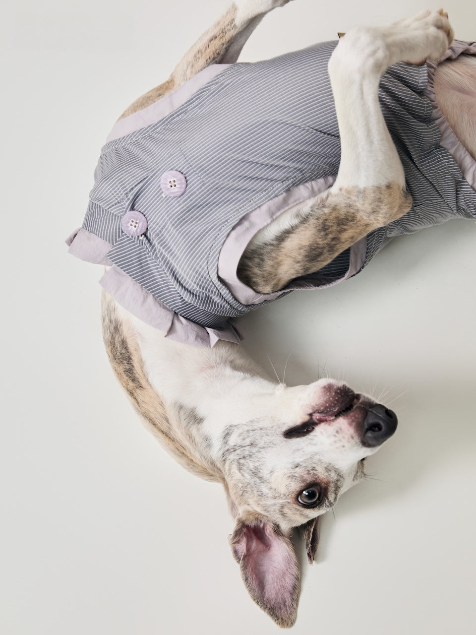 BOVER UV-Protective Pet Shirt