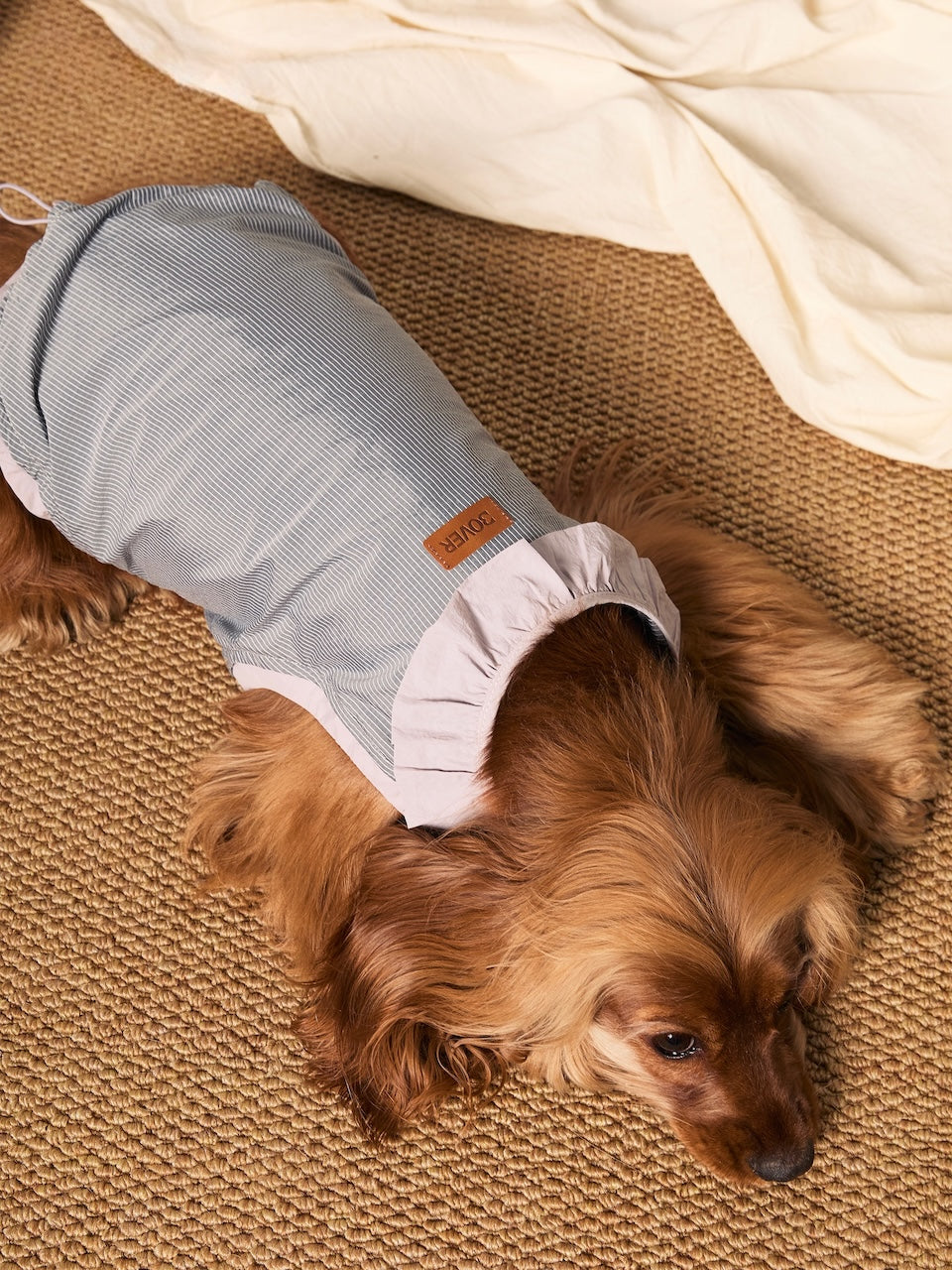 BOVER UV-Protective Pet Shirt