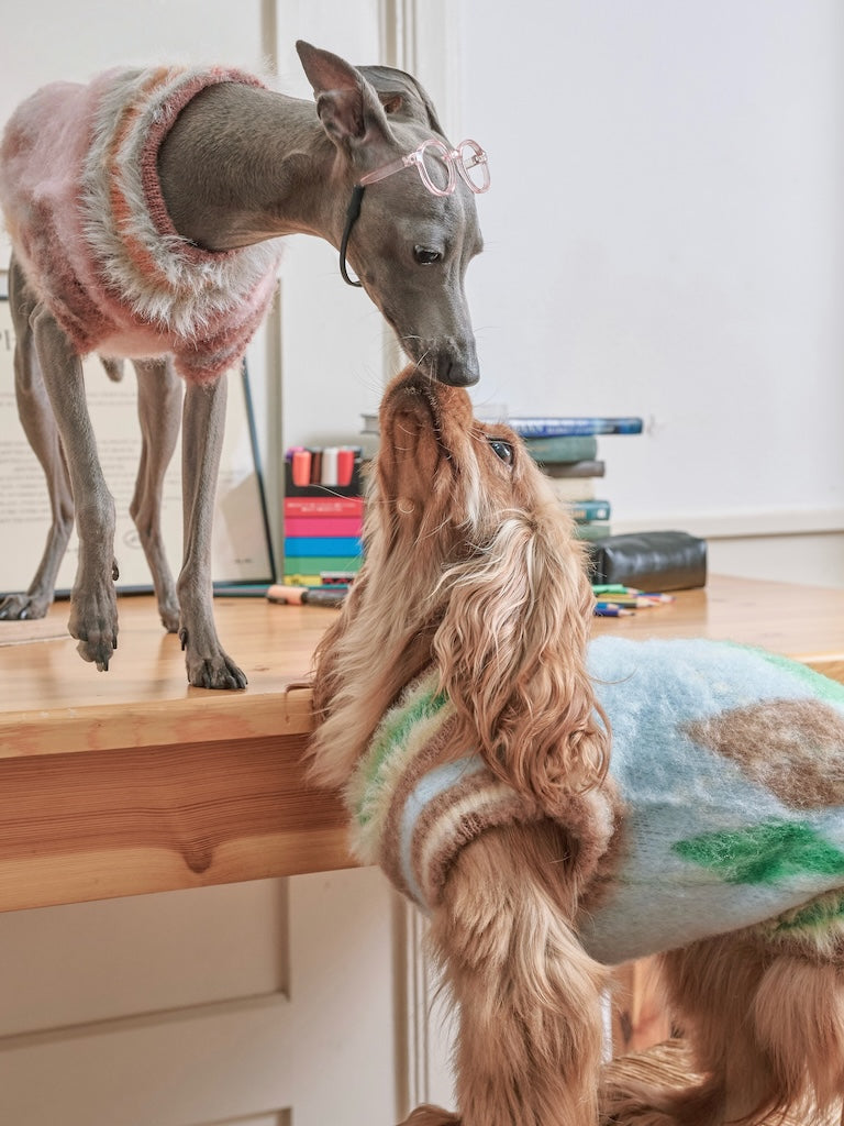 BOVER "Student Dog" Knit Vest