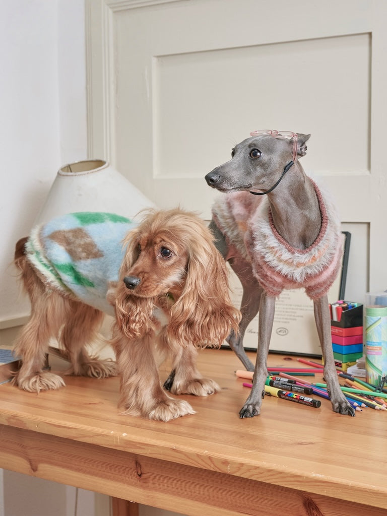 BOVER "Student Dog" Knit Vest