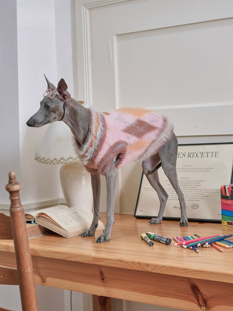 BOVER "Student Dog" Knit Vest