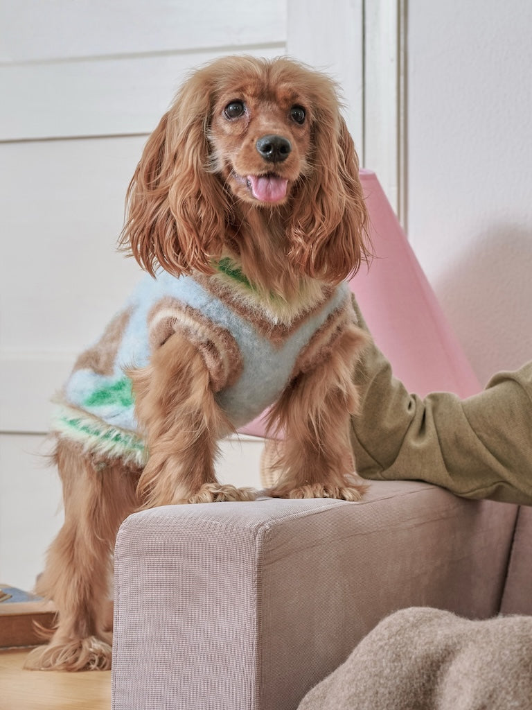 BOVER "Student Dog" Knit Vest