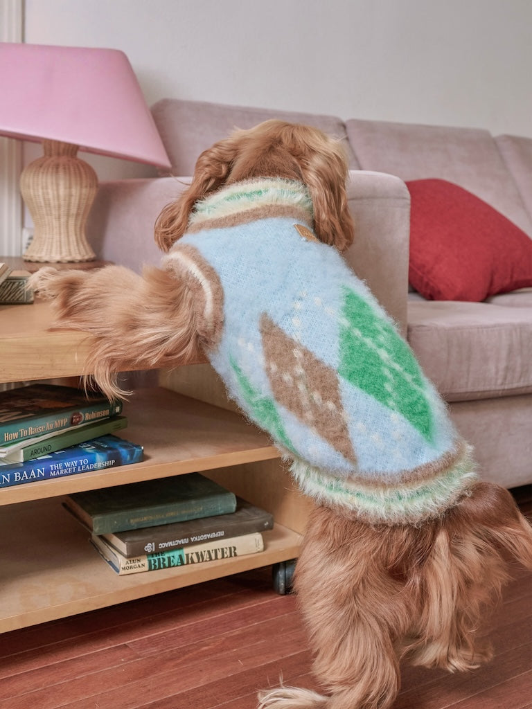 BOVER "Student Dog" Knit Vest