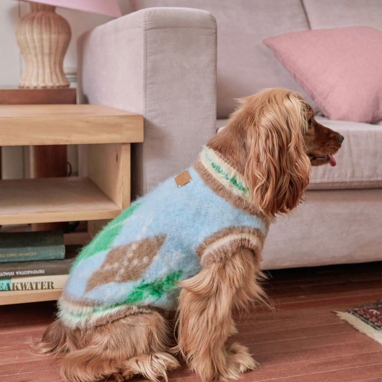 BOVER "Student Dog" Knit Vest