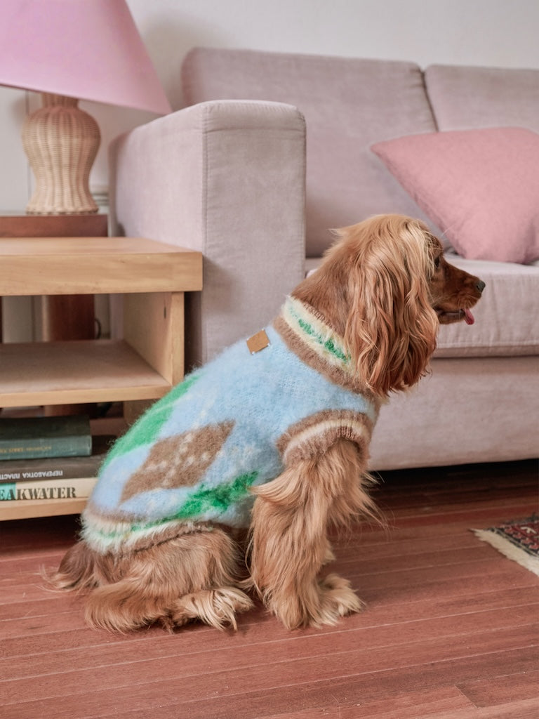 BOVER "Student Dog" Knit Vest