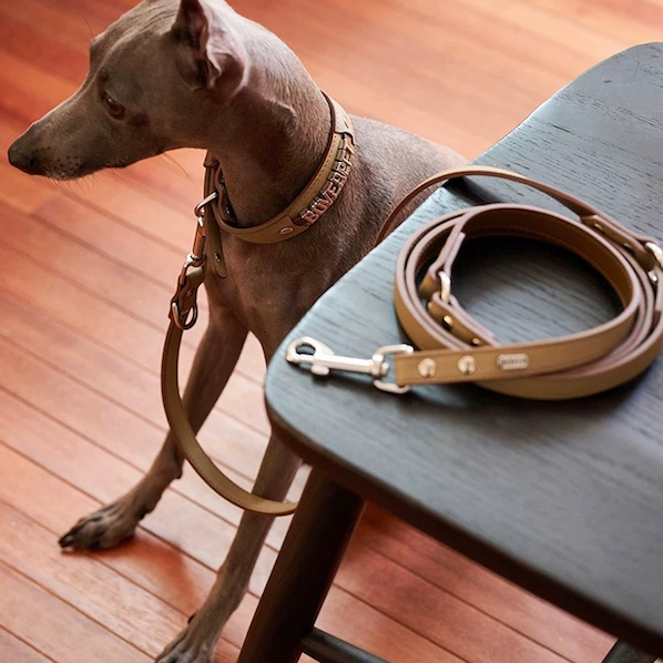 BOVER Multifunctional Leather Leash