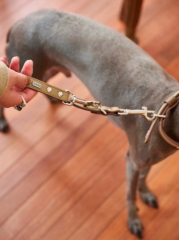 BOVER Multifunctional Leather Leash
