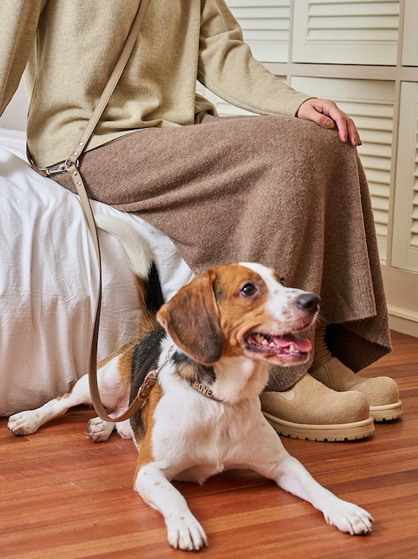 BOVER Multifunctional Leather Leash